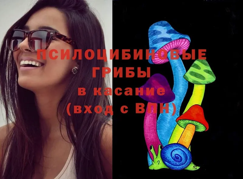 Галлюциногенные грибы Magic Shrooms  купить закладку  Шарыпово 